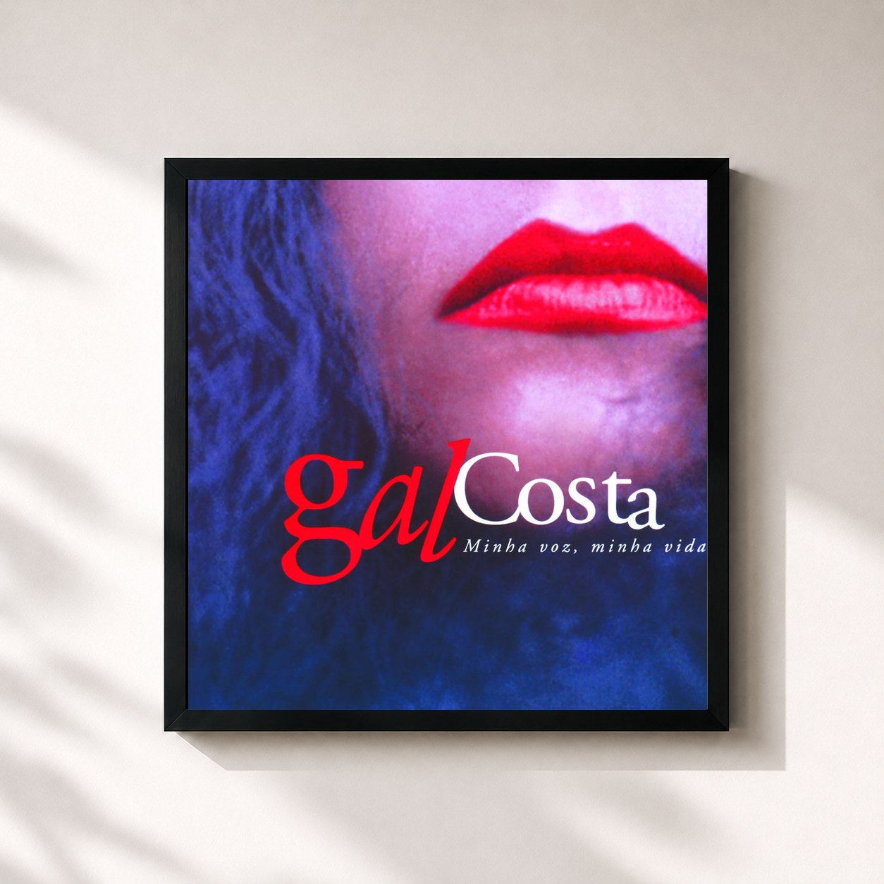 Gal Costa · Minha Voz, Minha Vida