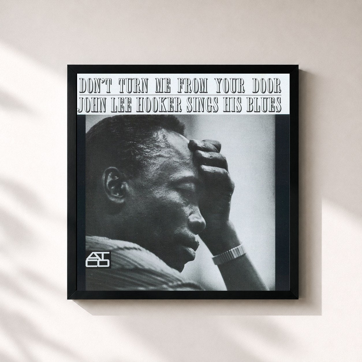 John Lee Hooker · Don't Turn Me From Your Door