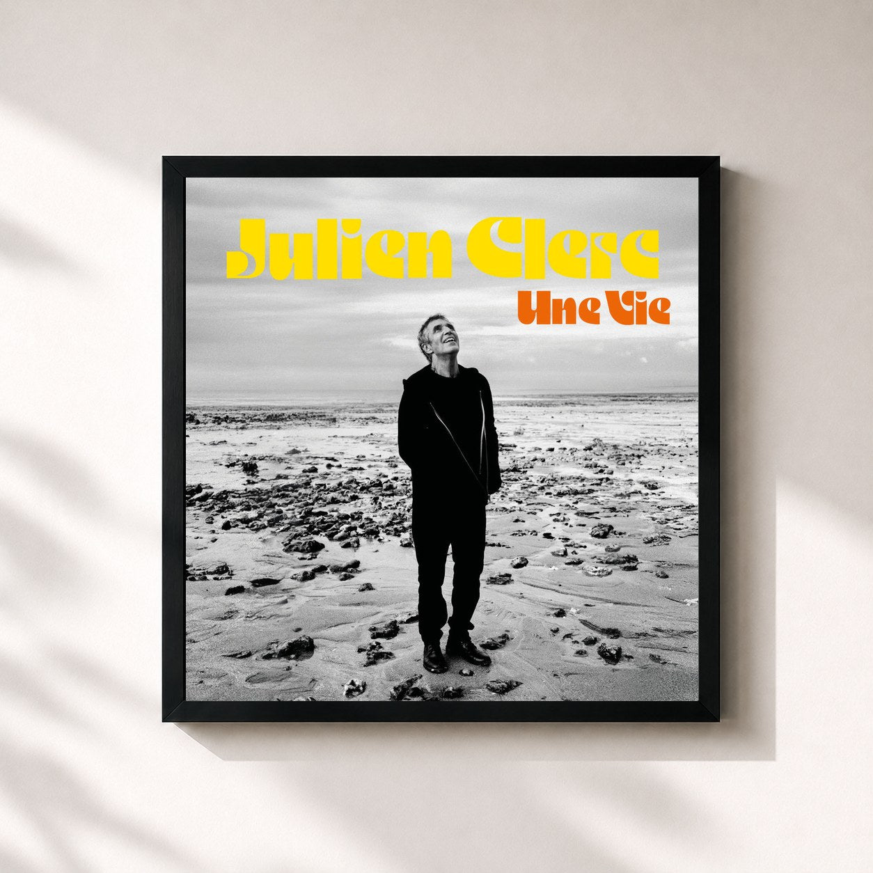Julien Clerc · Une vie (nouvelle édition)
