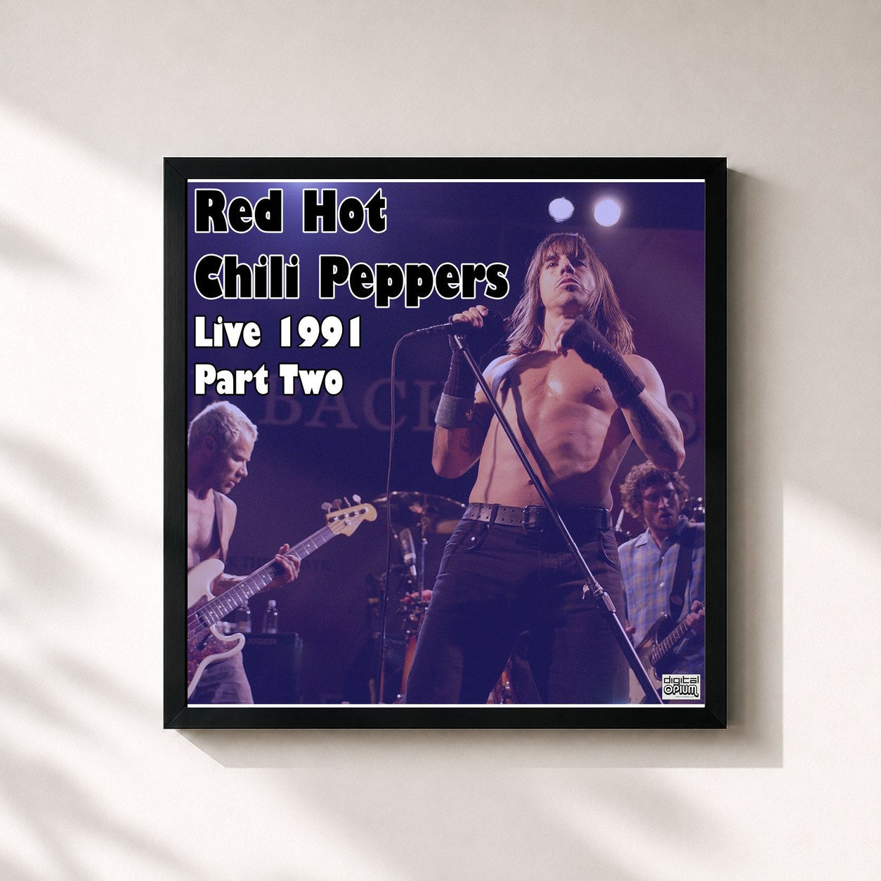 Red Hot Chili Peppers · Live 1991 Part Two (Live)