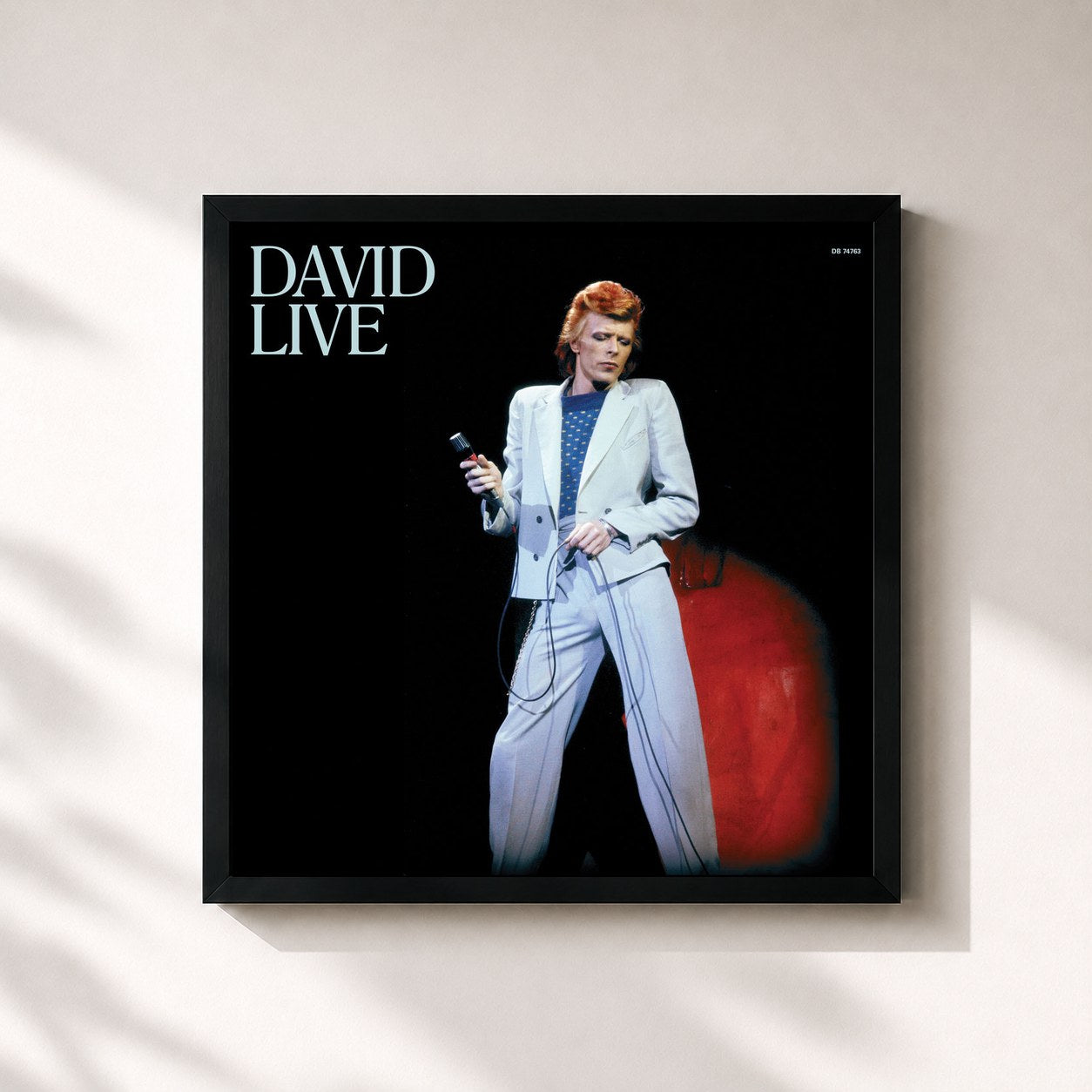 David Bowie – David Live (2005 Mix, Remastered Version)