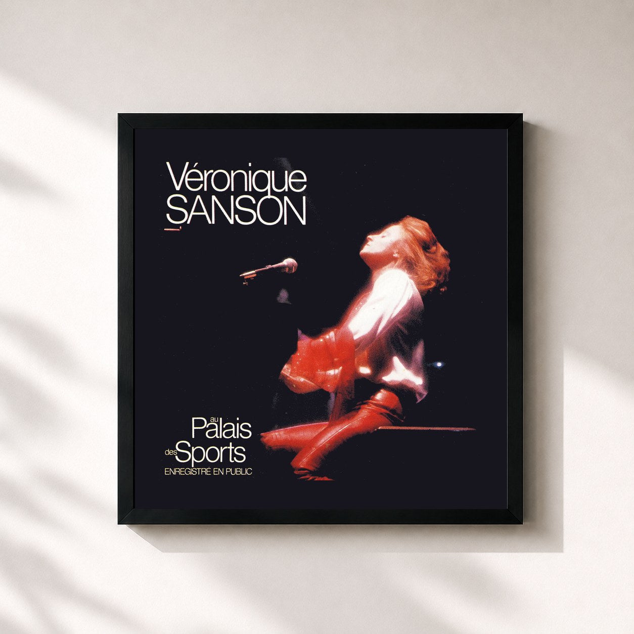 Véronique Sanson – Au Palais des Sports (Live au Palais des Sports, 1981) (Remastérisé en 2008)
