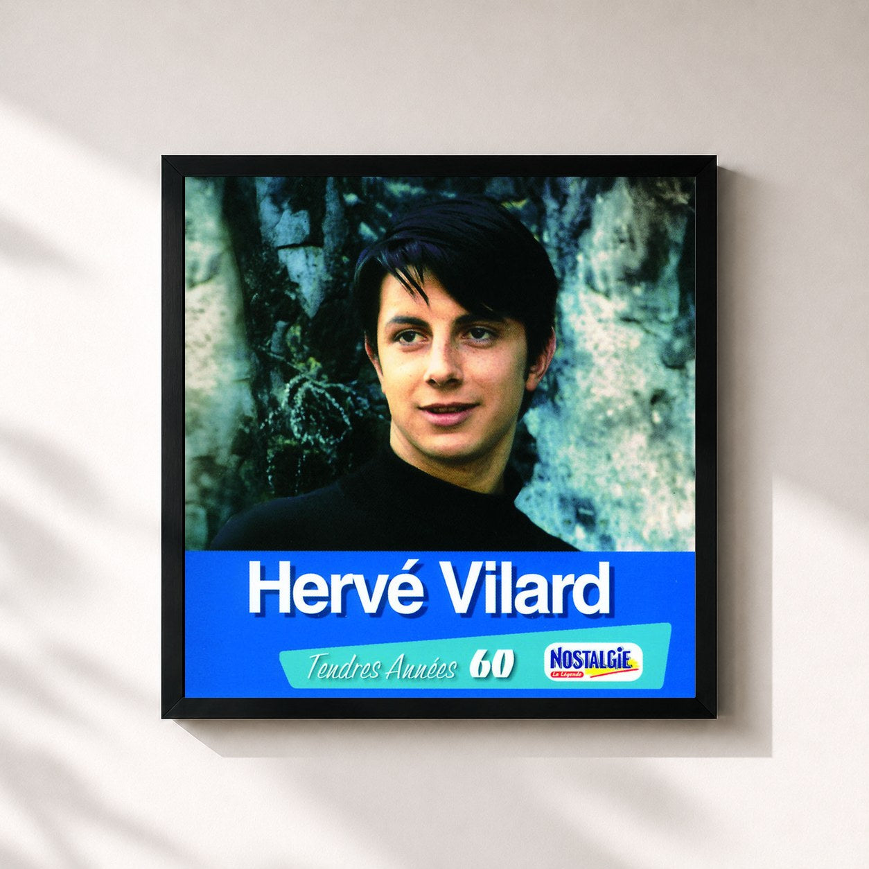 Hervé Vilard · Tendres Années