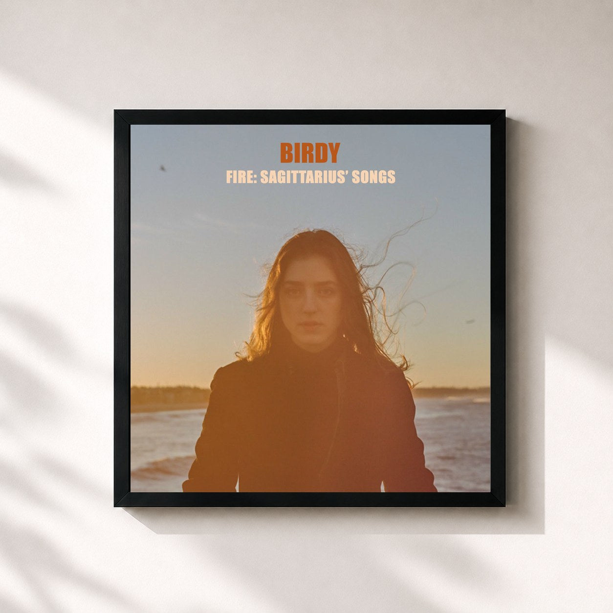 Birdy · Fire: Sagittarius' Songs