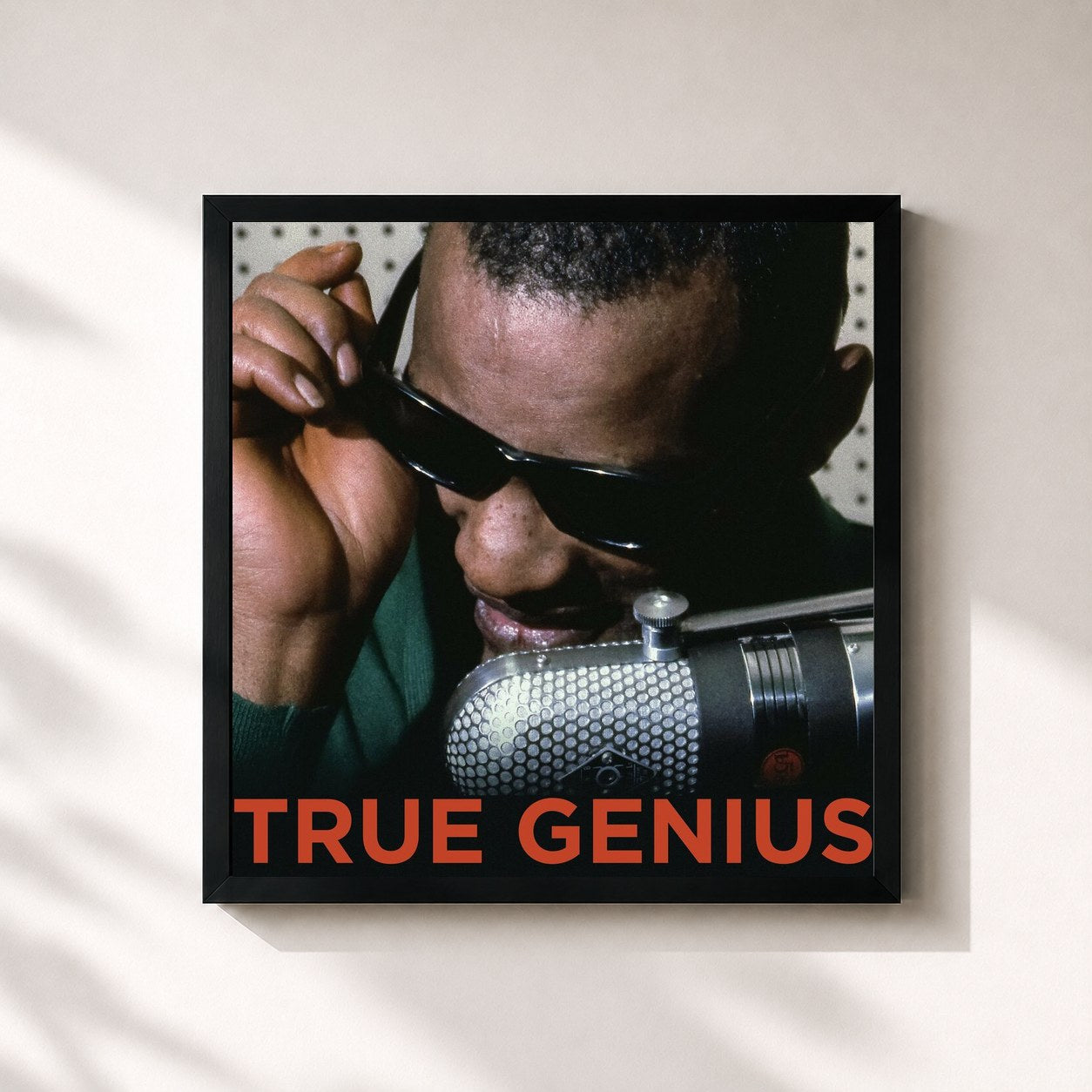 Ray Charles · True Genius