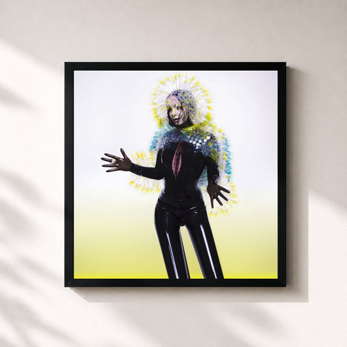 Björk · Vulnicura — Gerahmter Kunstdruck