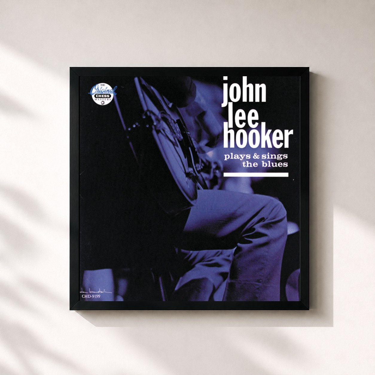 John Lee Hooker · Plays & Sings The Blues