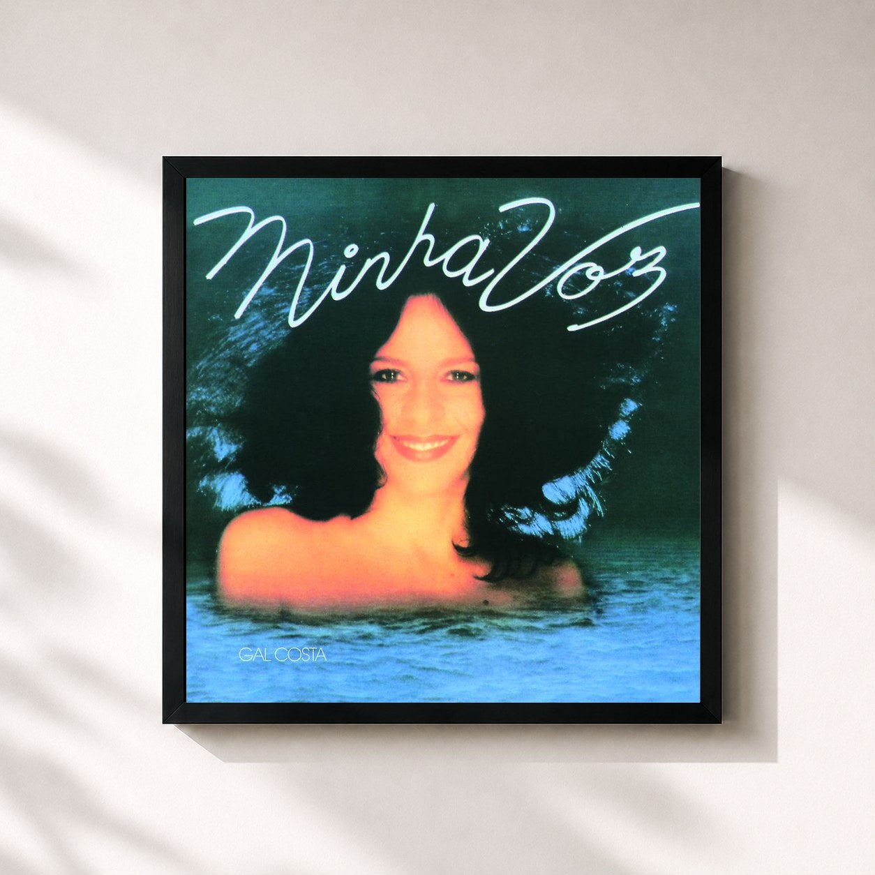 Gal Costa · Minha Voz
