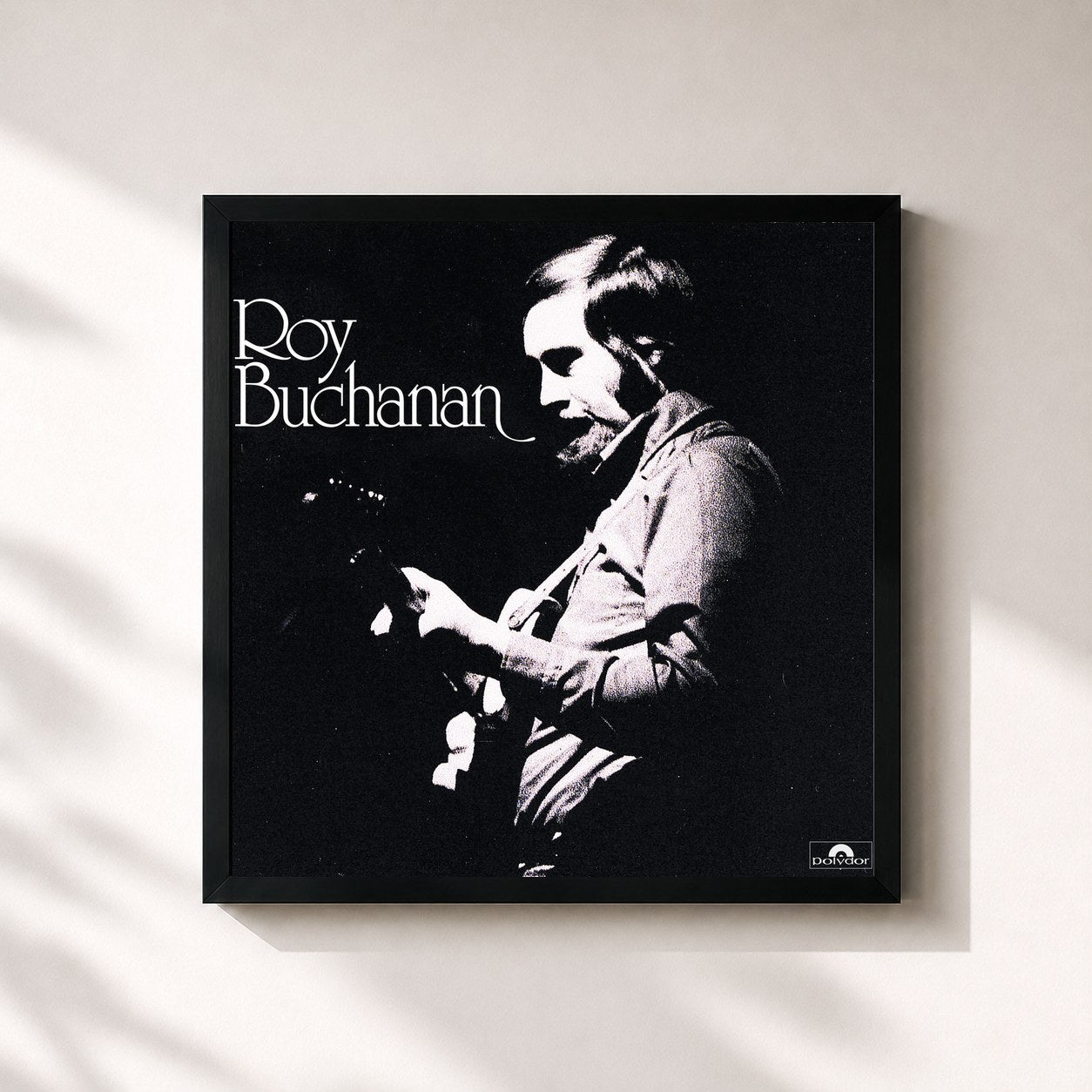 Roy Buchanan · Roy Buchanan