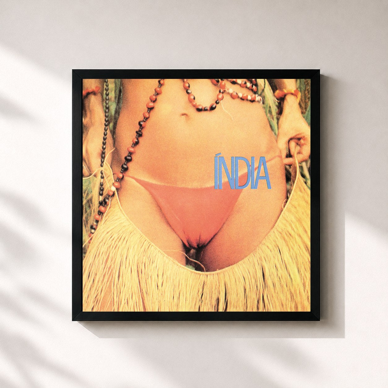 Gal Costa · India