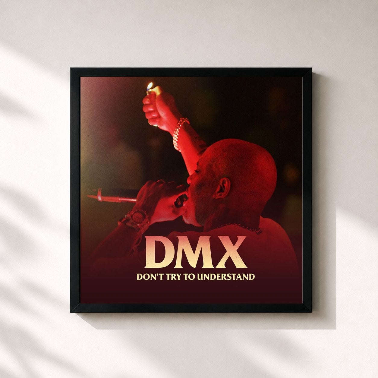DMX · DMX: Don't Try to Understand
