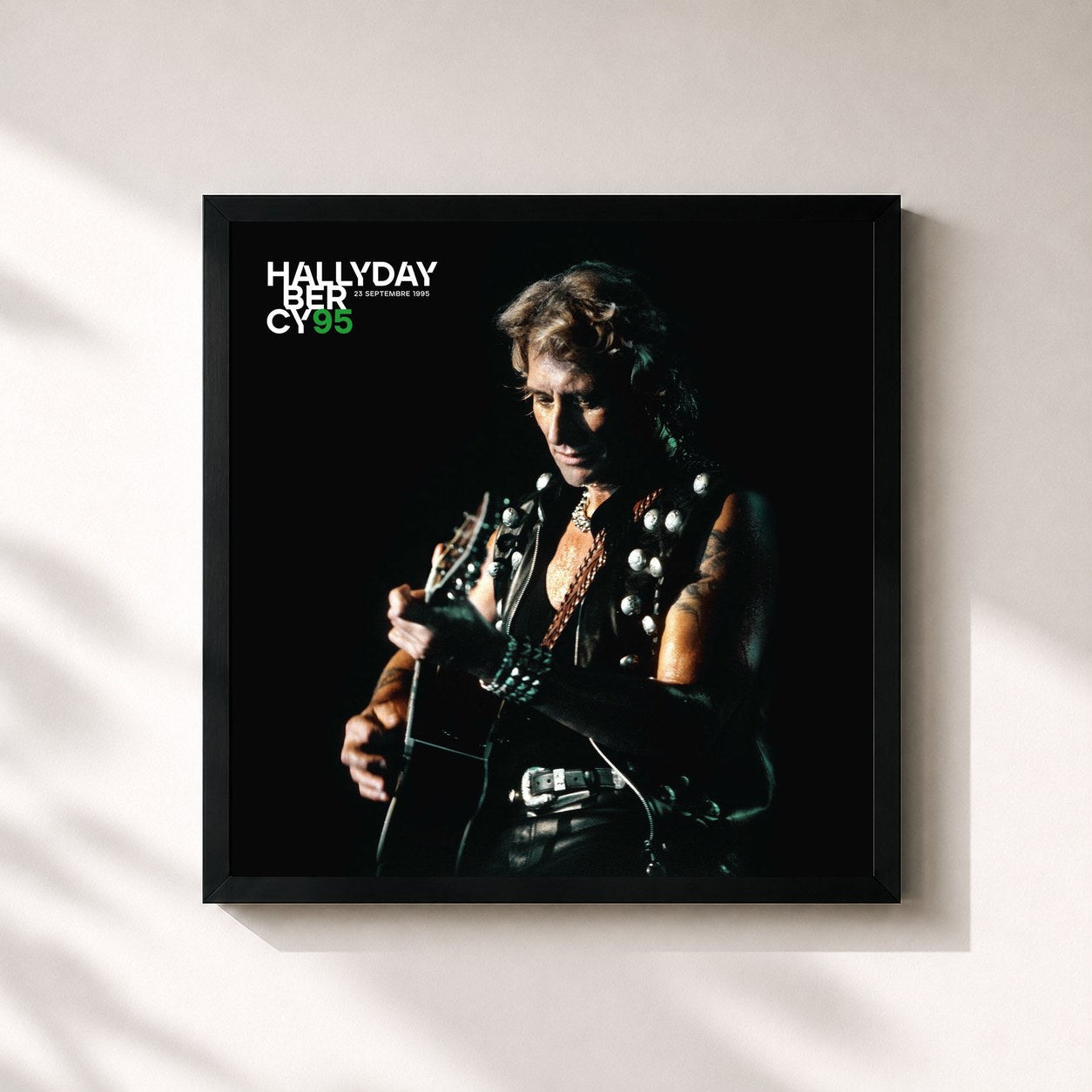 Johnny Hallyday · Bercy 95 (Live)