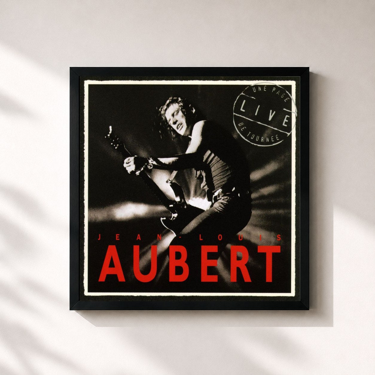 Jean-Louis Aubert · Une Page De Tournée, Live
