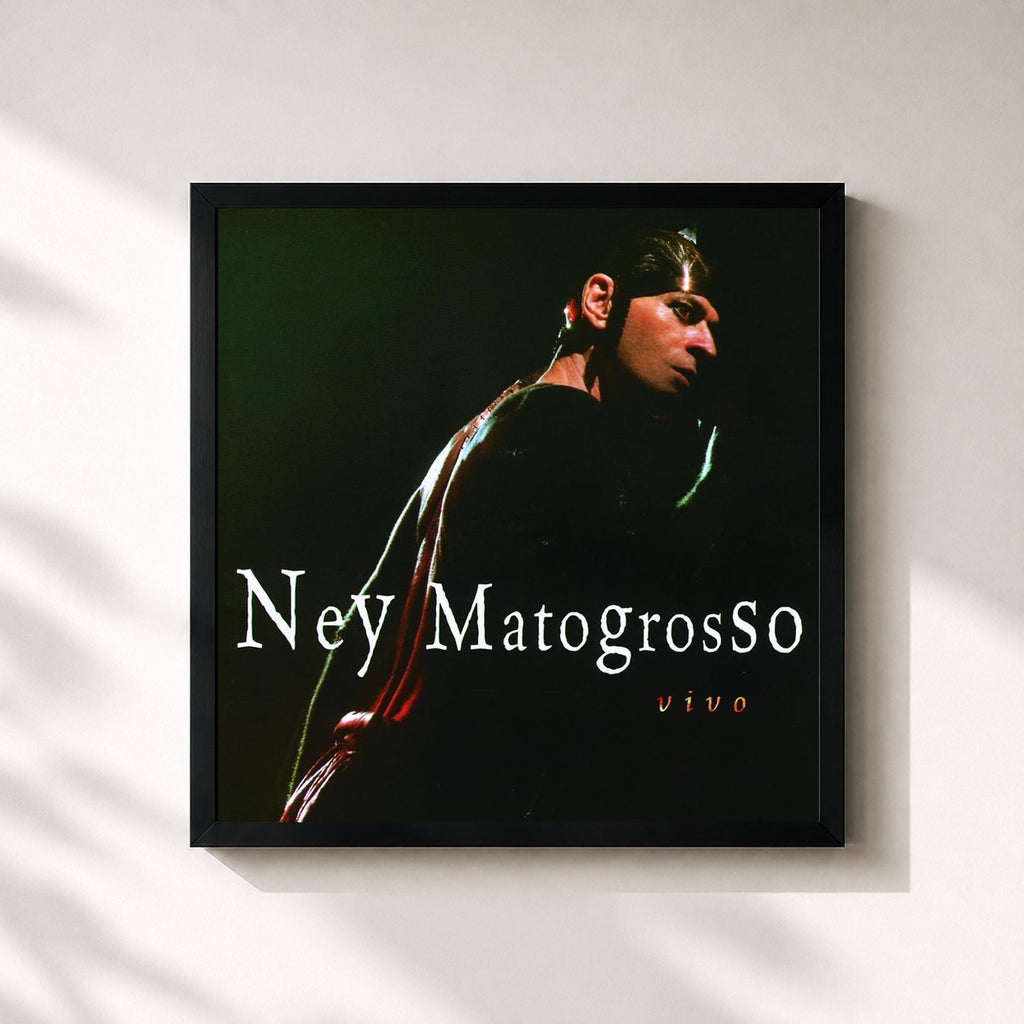 Ney Matogrosso · Ney Matogrosso Ao Vivo