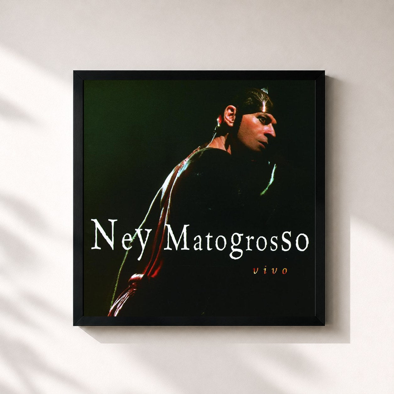 Ney Matogrosso · Ney Matogrosso Ao Vivo