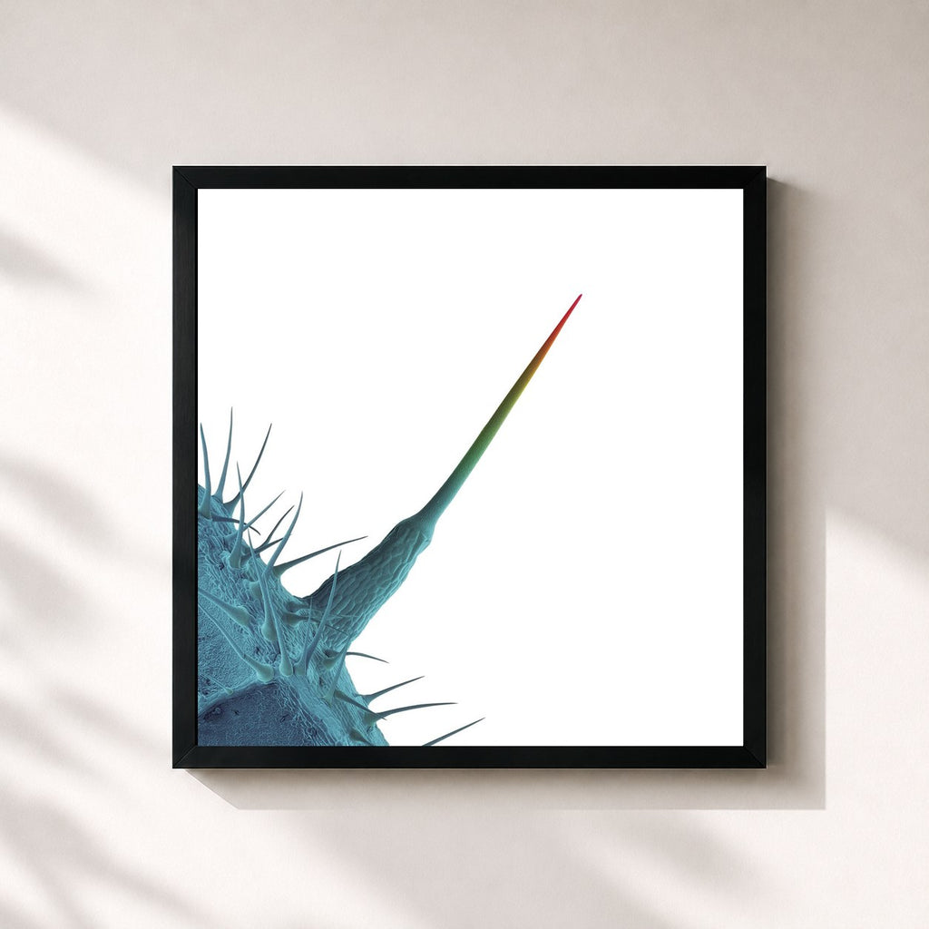 Peter Gabriel · And I'll Scratch Yours