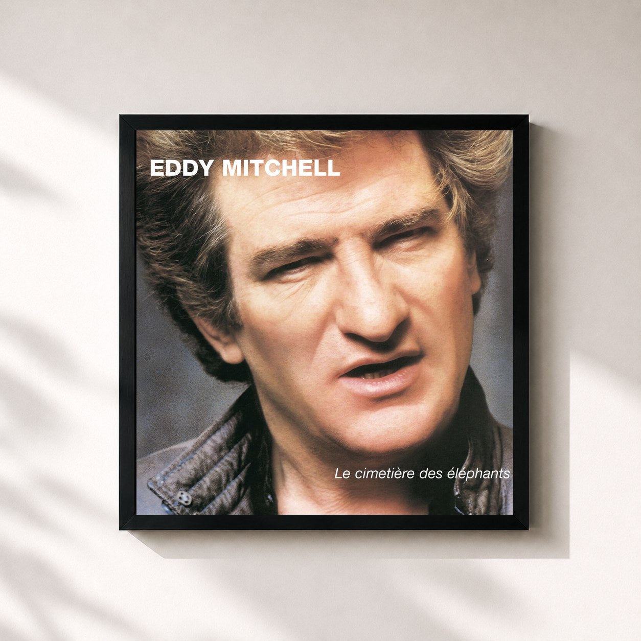 Eddy Mitchell · Le Cimetiere Des Elephants