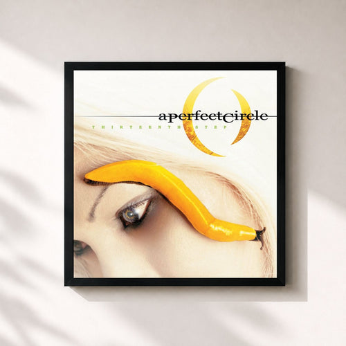 A Perfect Circle · Thirteenth Step