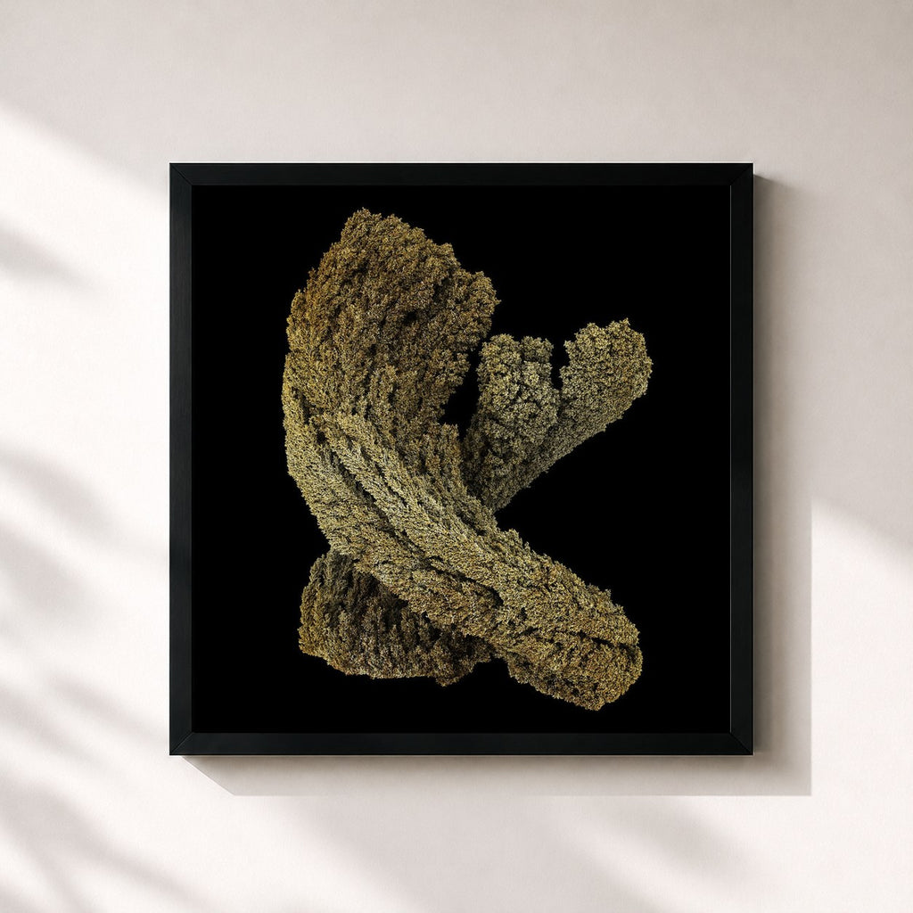 Max Cooper · Emergence