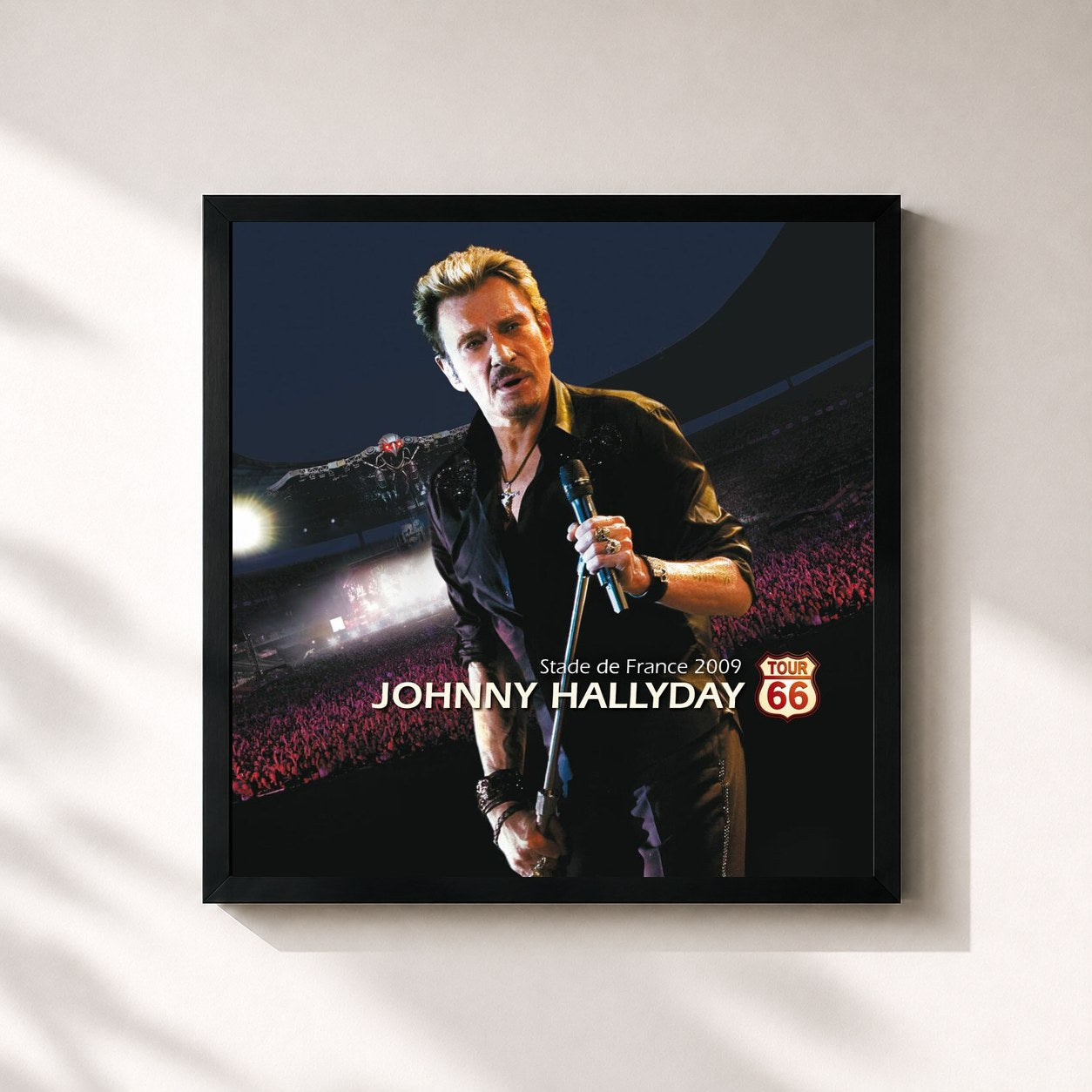 Johnny Hallyday · Tour 66 (Live au Stade de France 2009)
