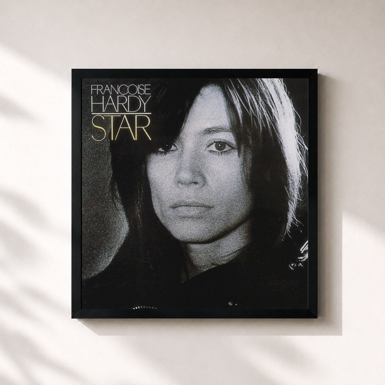 Françoise Hardy · Star