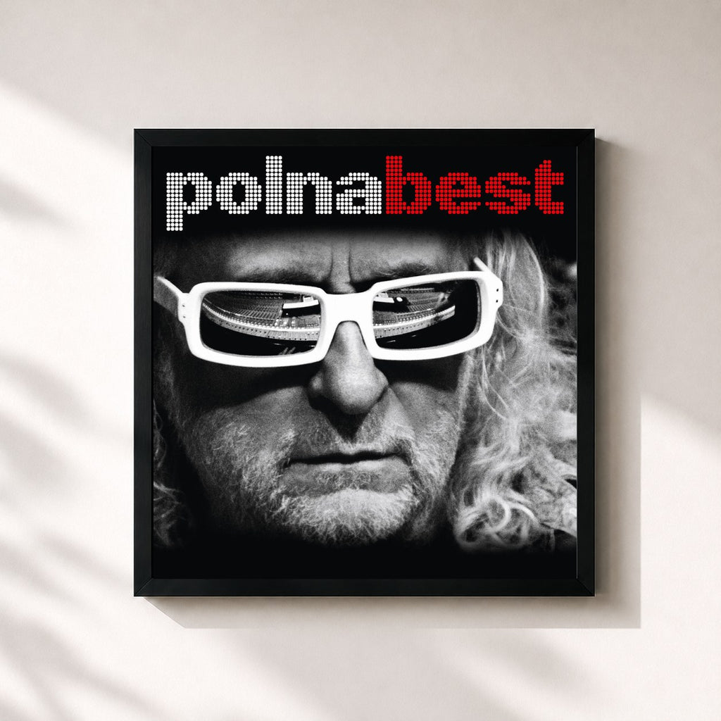 Michel Polnareff · Polnabest