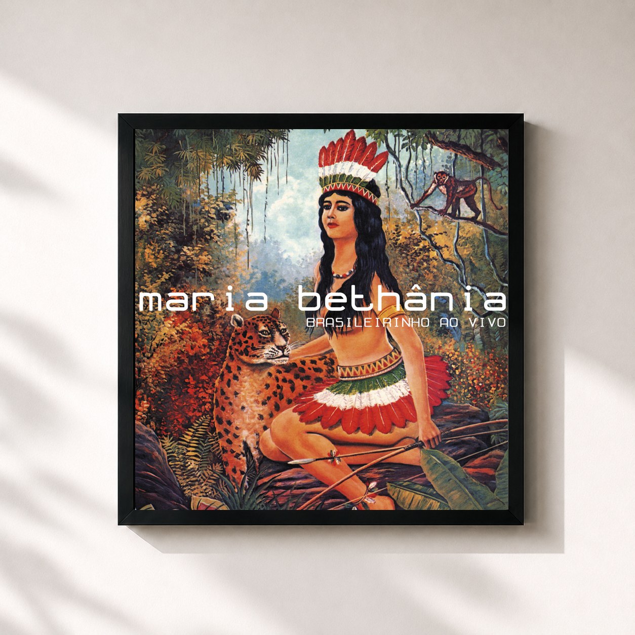 Maria Bethânia · Brasileirinho Ao Vivo