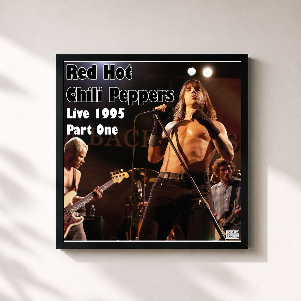 Red Hot Chili Peppers · Live 1995 Part One (Live)