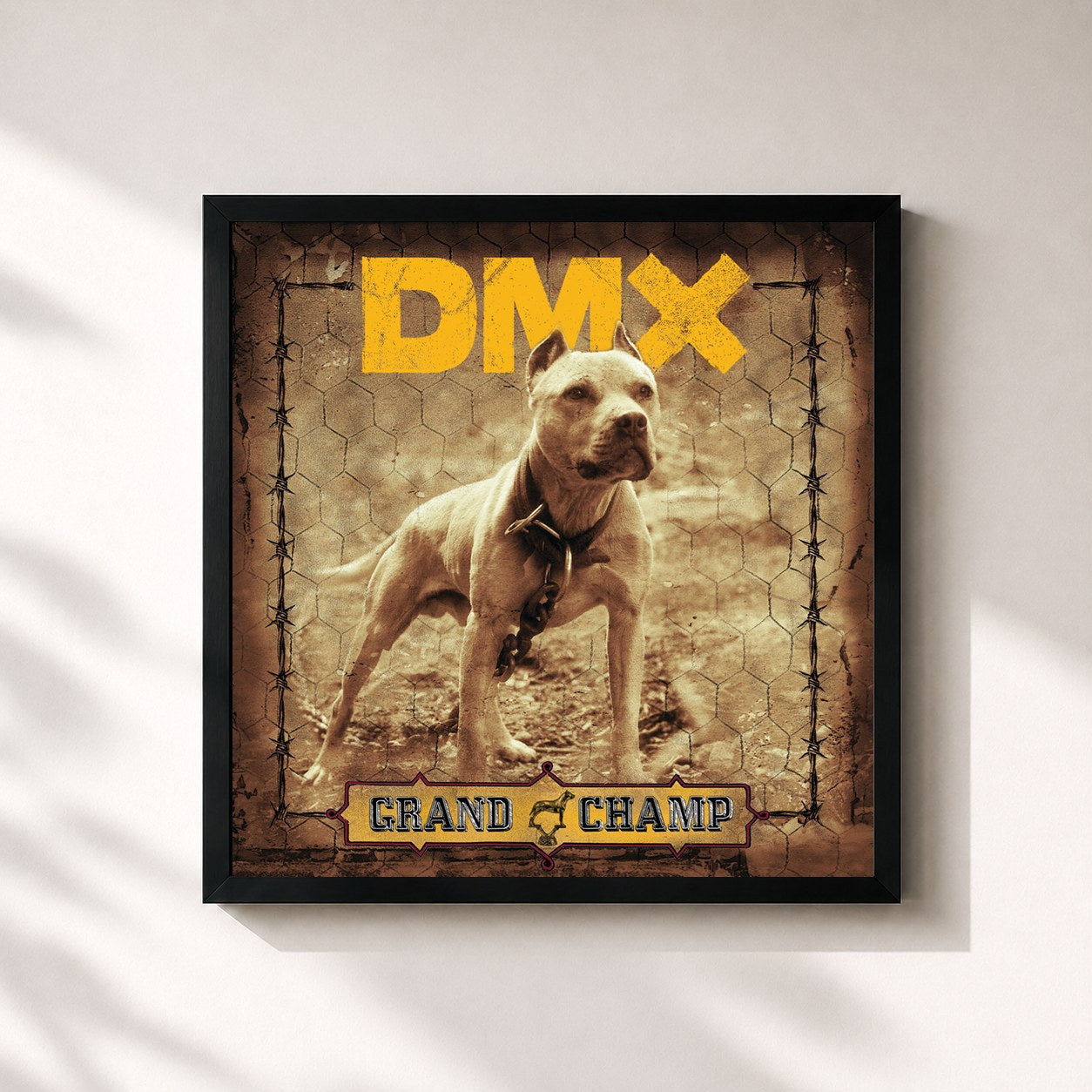 DMX · Grand Champ
