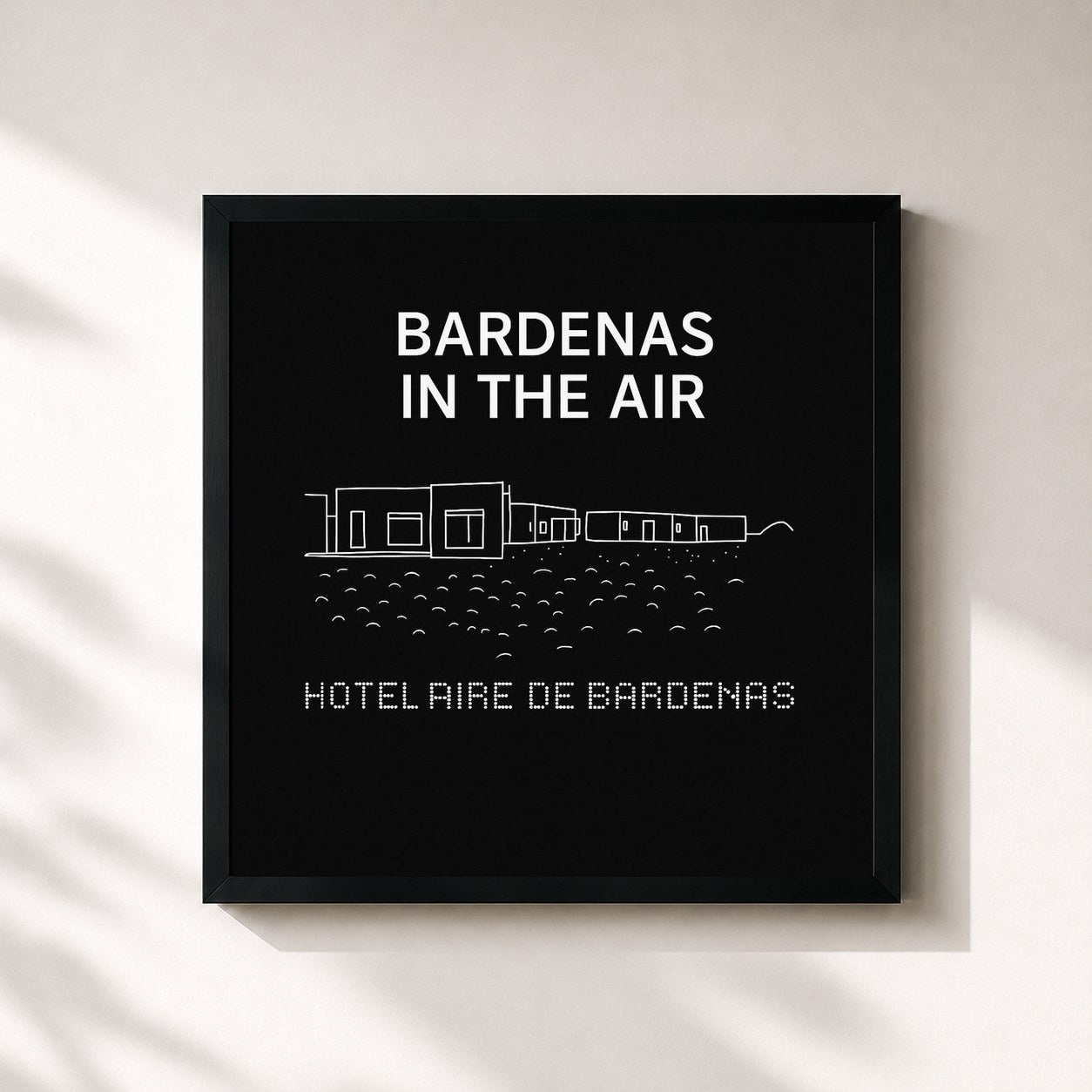 Carlos Aire · Bardenas in the Air