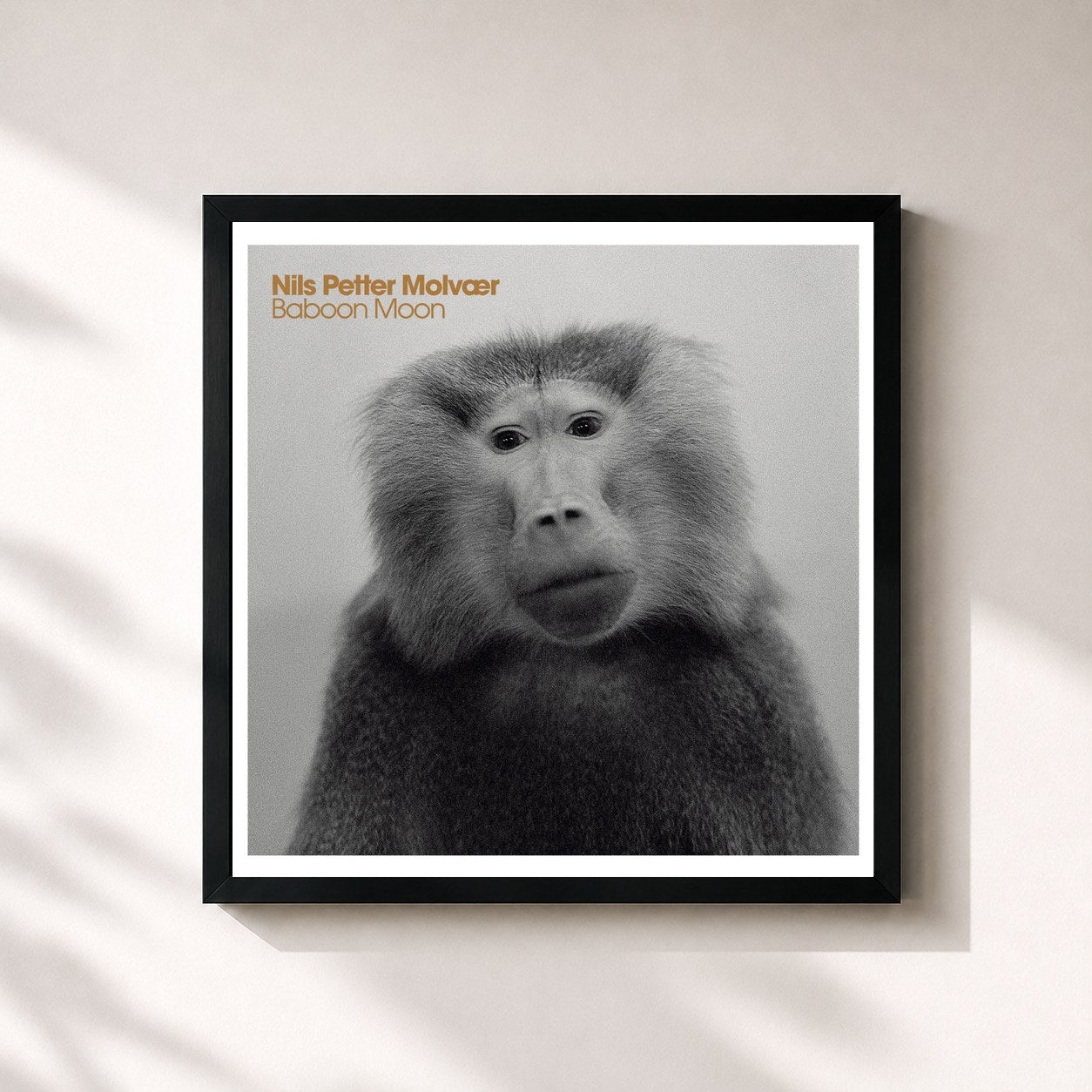 Nils Petter Molvær · Baboon Moon