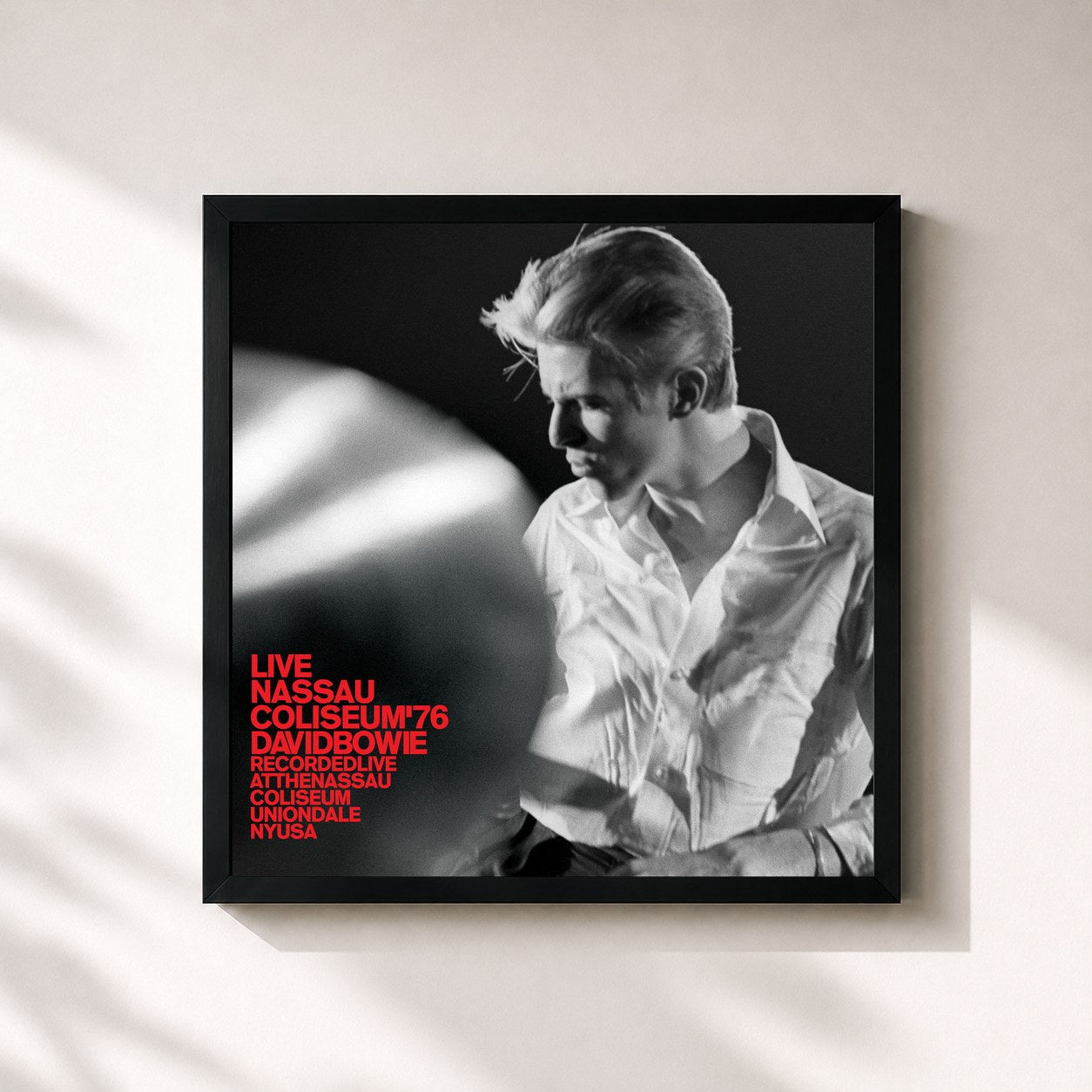 David Bowie – Live Nassau Coliseum '76