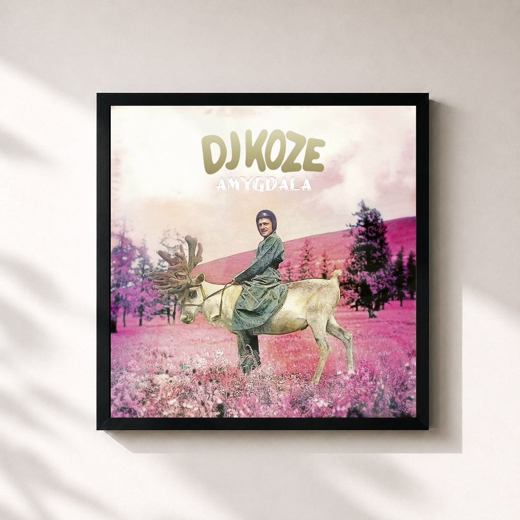 DJ Koze · Amygdala (Bonus Track Version)
