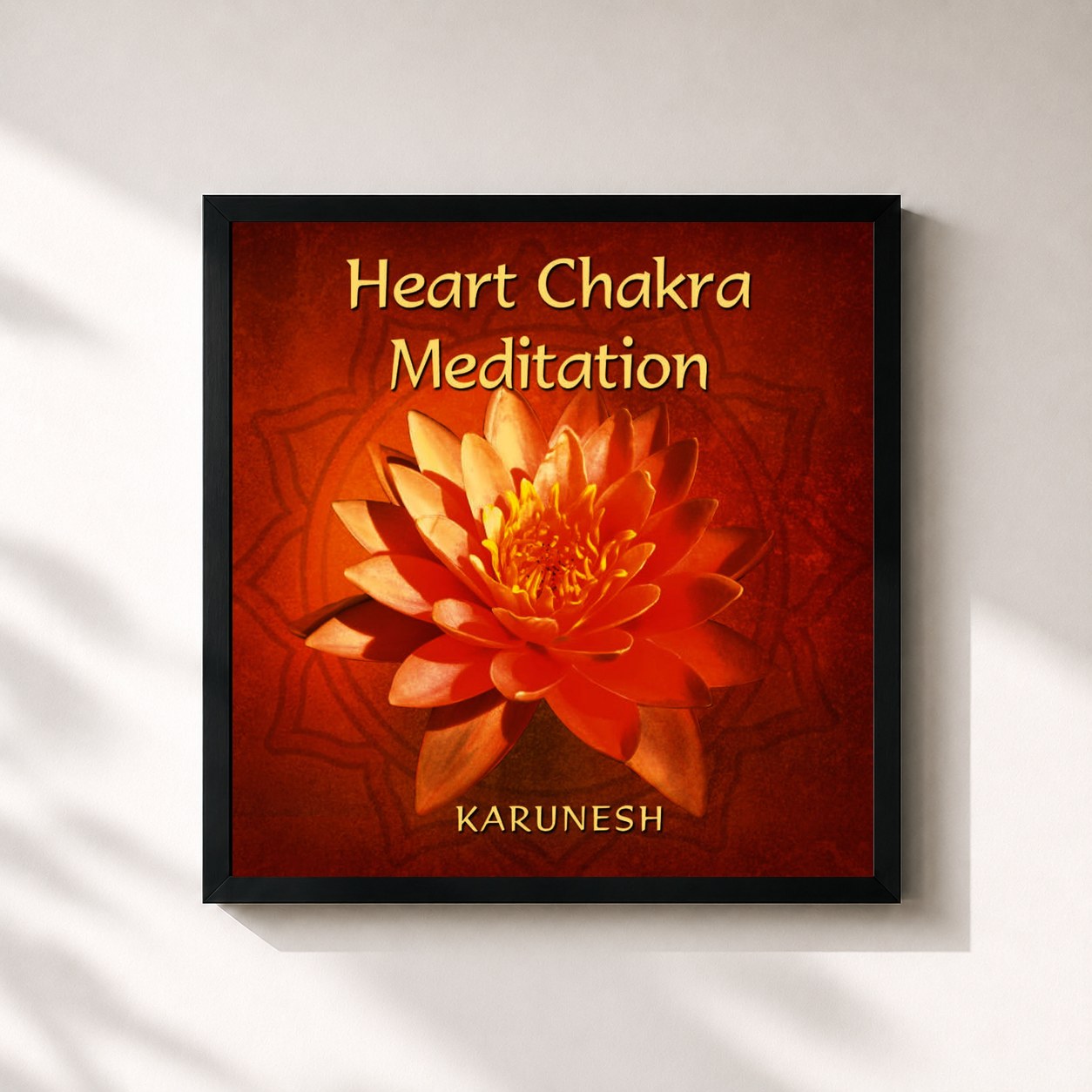 Karunesh · Heart Chakra Meditation