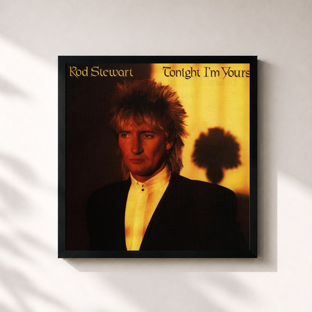 Rod Stewart · Tonight I'm Yours (Expanded Edition)