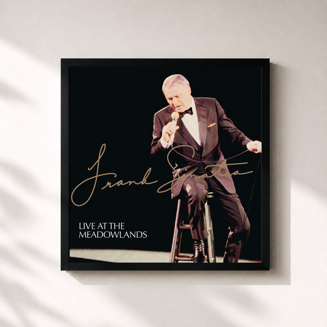 Frank Sinatra · Live At The Meadowlands