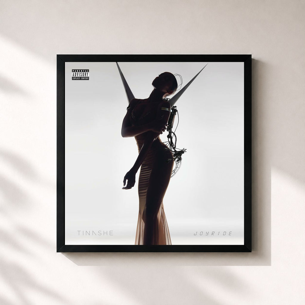 Tinashe · Joyride