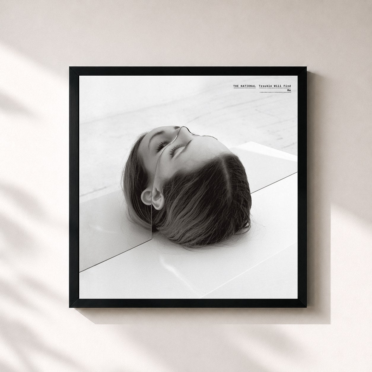 The National · Trouble Will Find Me