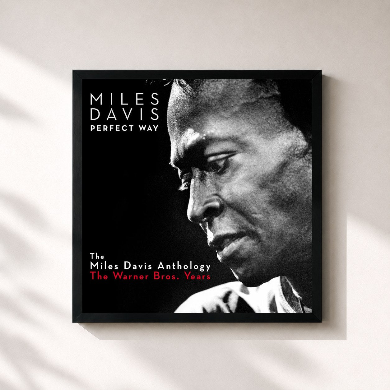 Miles Davis · Perfect Way: The Miles Davis Anthology - The Warner Bros. Years