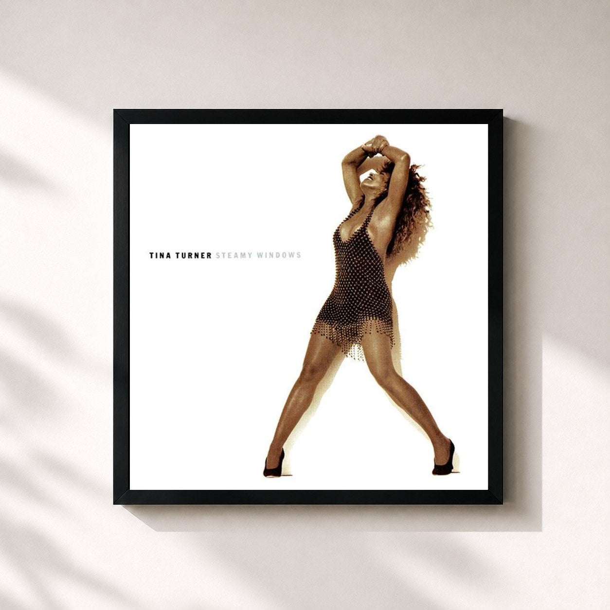 Tina Turner · Steamy Windows (The Singles)