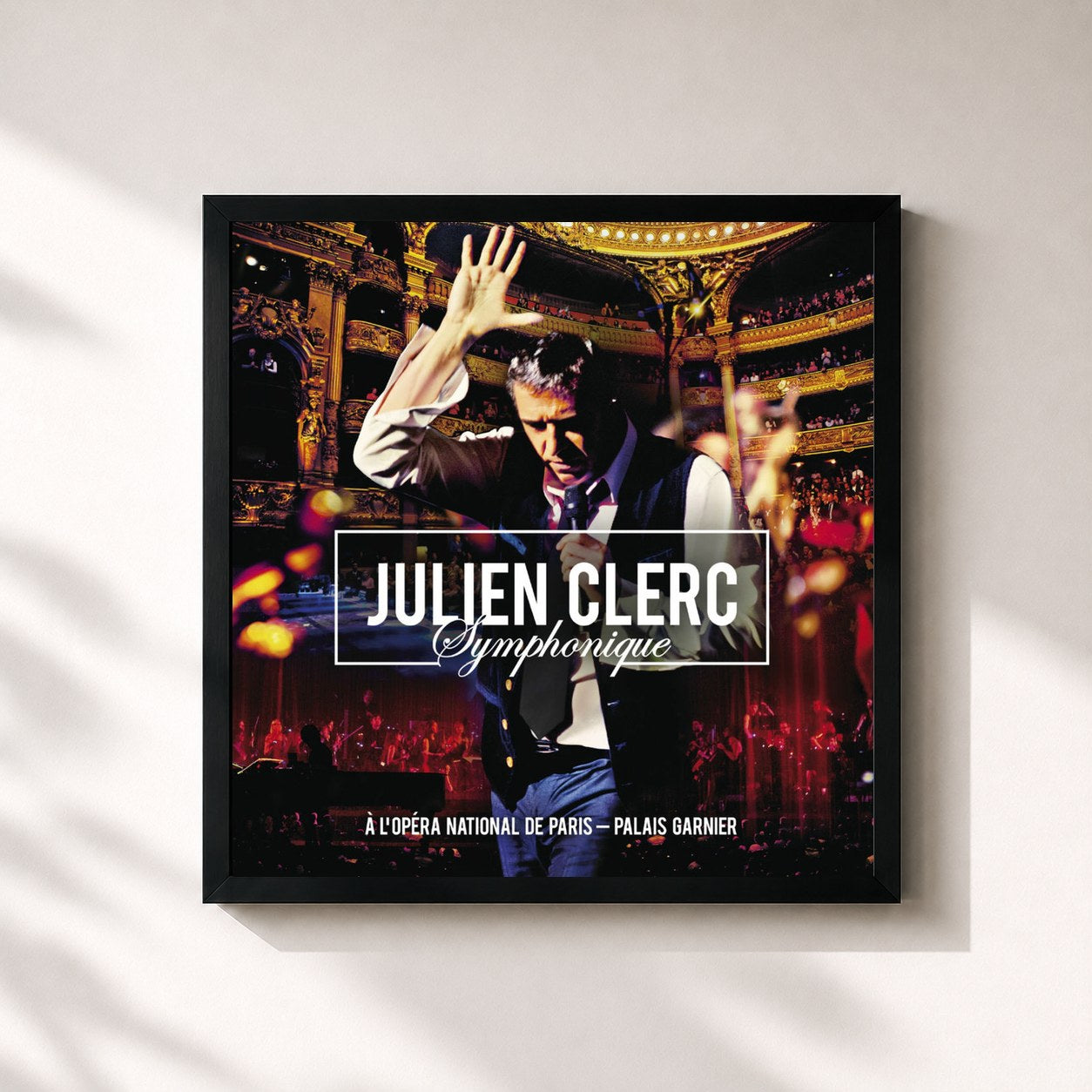 Julien Clerc · Julien Clerc Symphonique (Live à l’Opéra National de Paris, Palais Garnier, 2012)