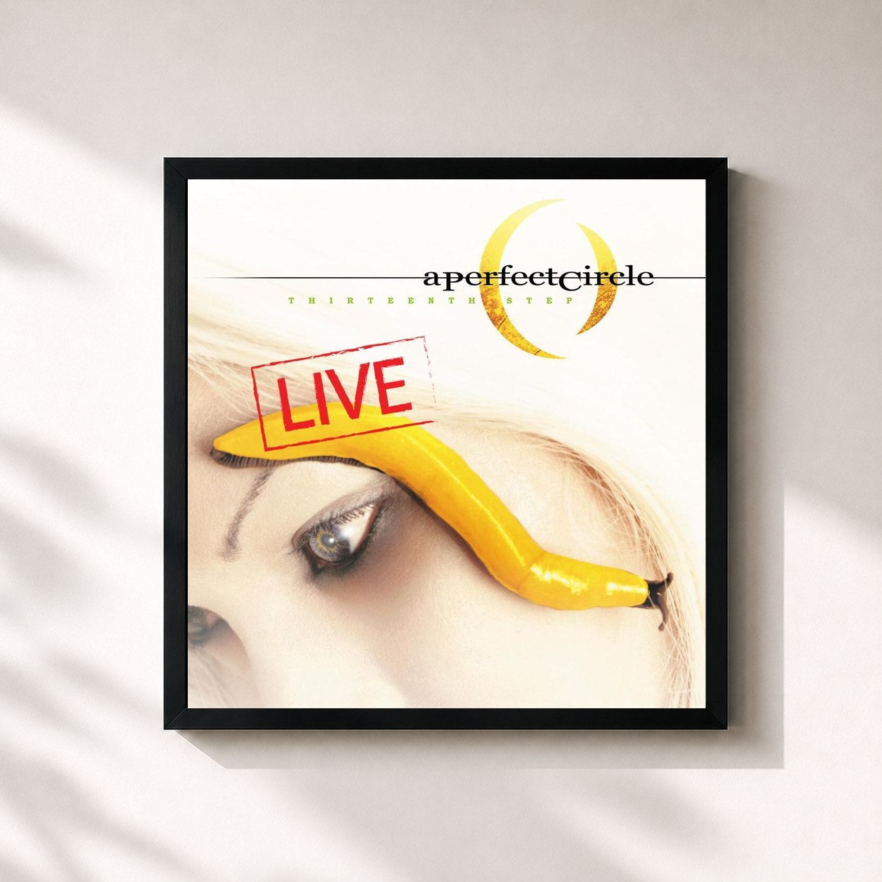 A Perfect Circle · Thirteenth Step - Live