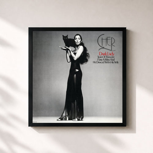 Cher · Dark Lady
