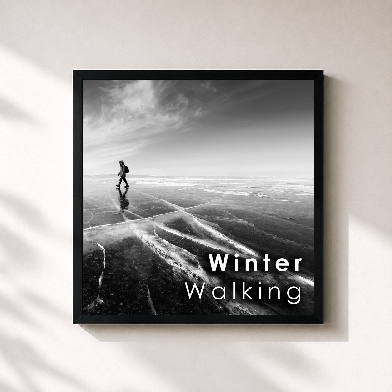 James Newton Howard · Winter Walking: Soundtracks for Cold Days