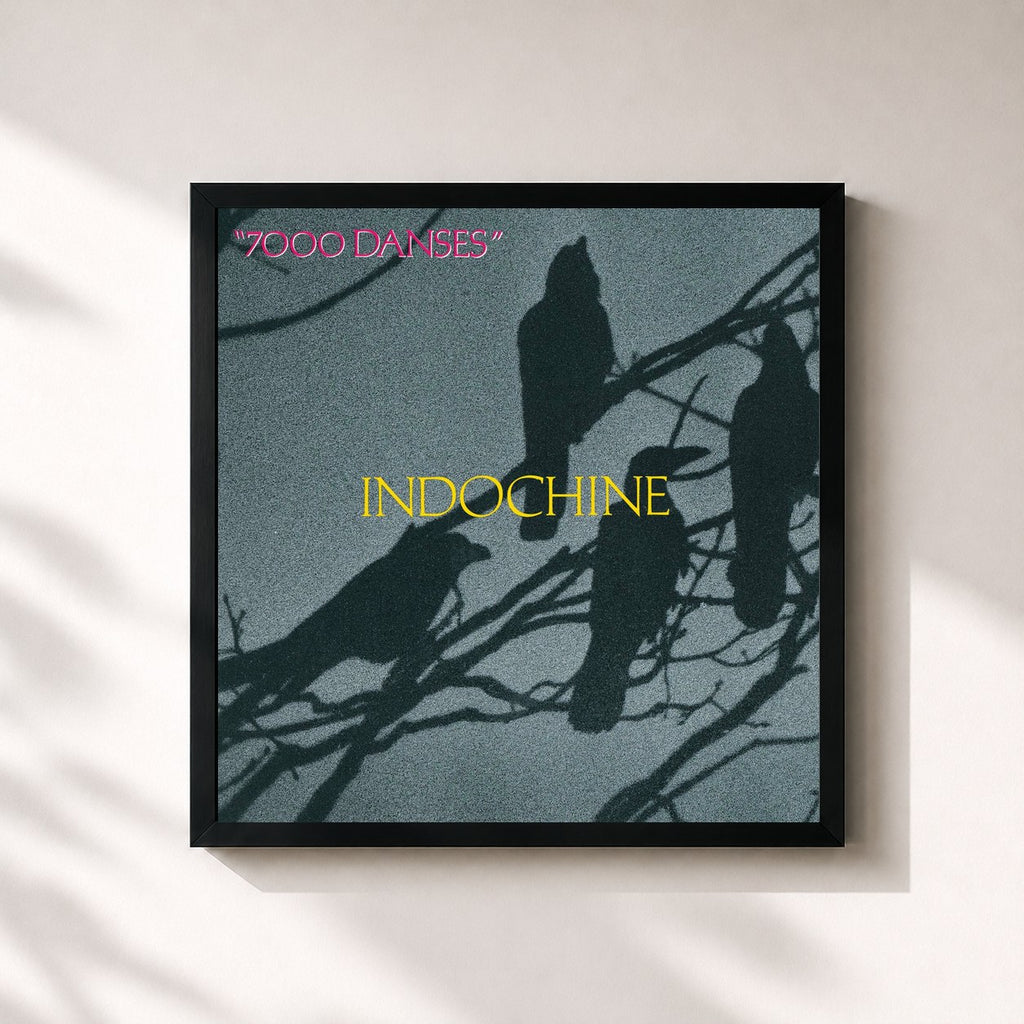 Tableau de l'album 7000 danses de Indochine, imprimé et encadré en France