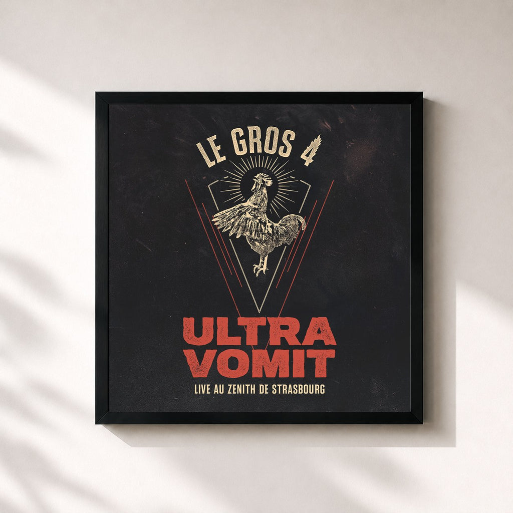 Ultra Vomit – Le Gros 4 : Live au Zénith de Strasbourg