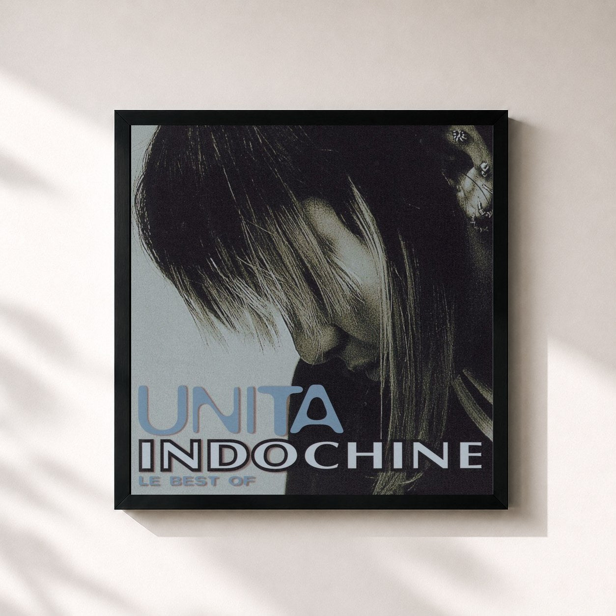 Tableau de l'album Unita (Best Of) de Indochine, imprimé et encadré en France
