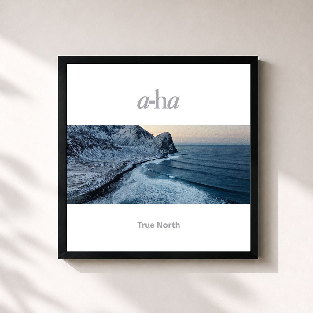 a-ha · True North