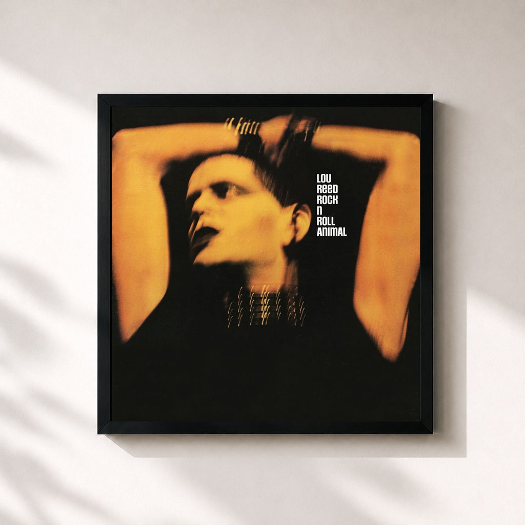 Lou Reed · Rock 'n' Roll Animal (Live)