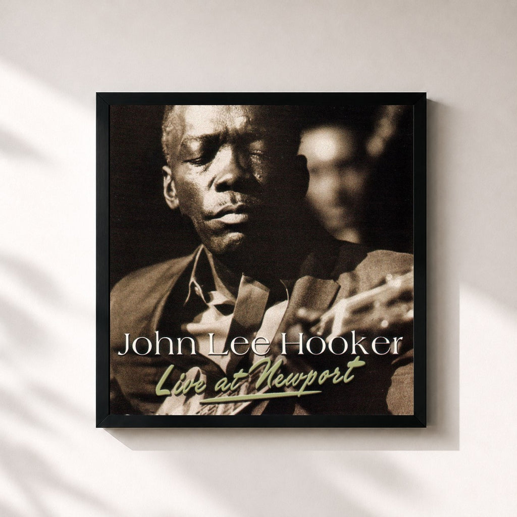 John Lee Hooker · Live At Newport